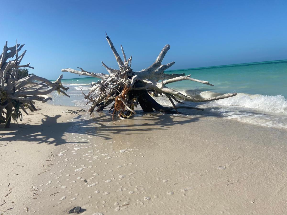 LaIsla Holbox Luxury Villa Extérieur photo