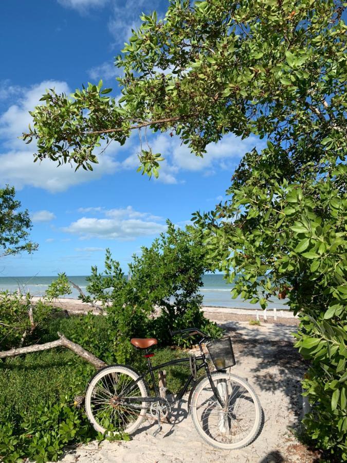 LaIsla Holbox Luxury Villa Extérieur photo